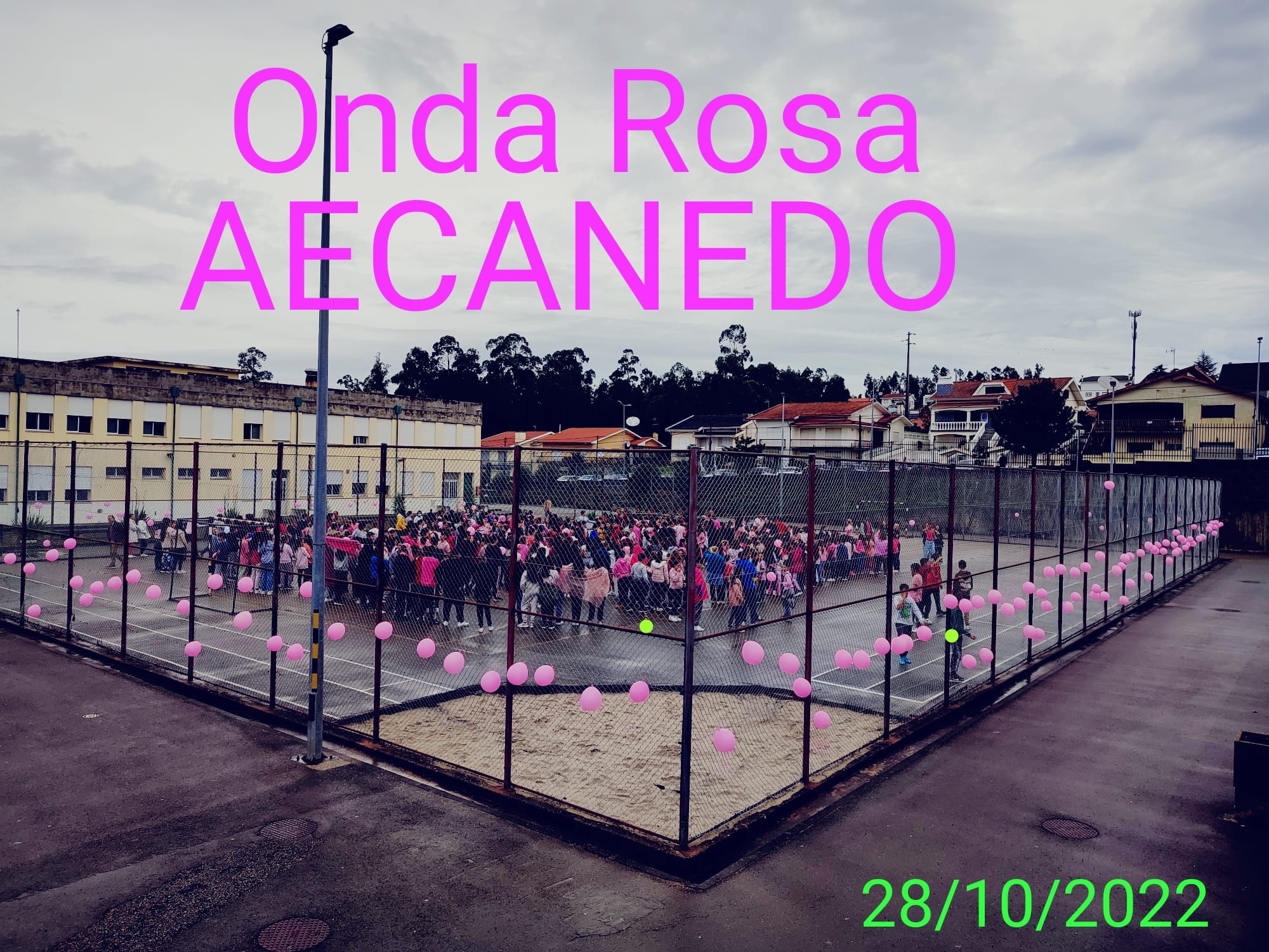OutRosaAECanedo