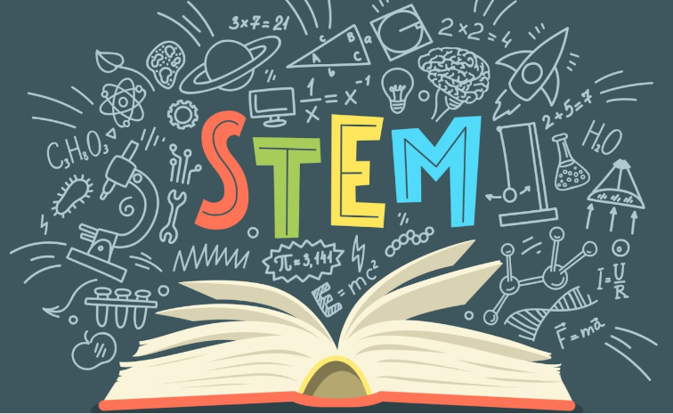 STEM 23 24