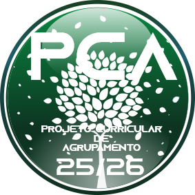 CapaProjCurricular 20 21